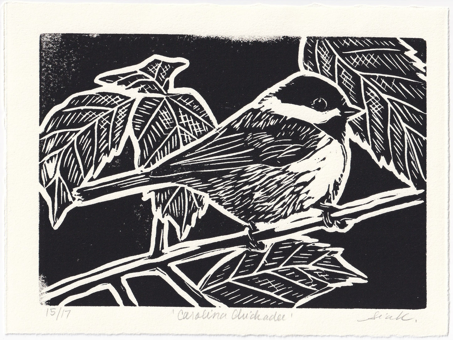 Carolina Chickadee Linocut Print – Limited Edition Hand Pulled Bird Art
