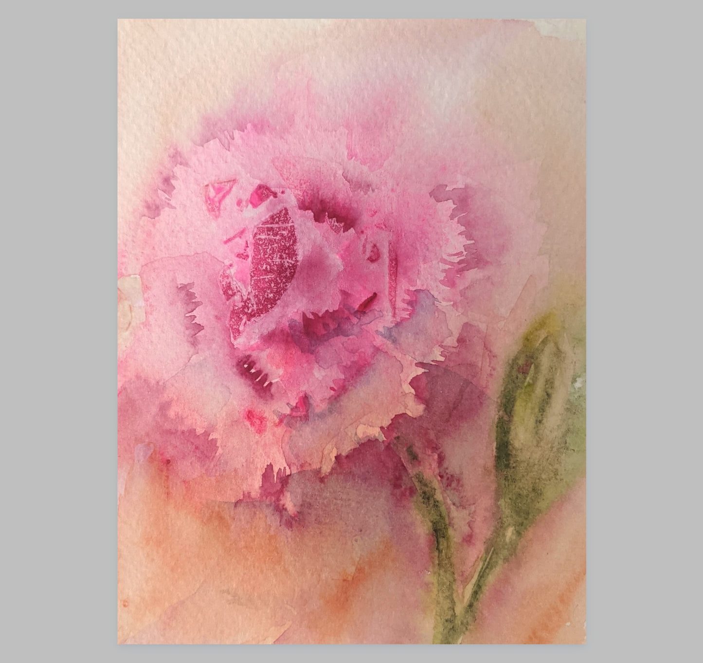 Carnation – Loose Floral Fine Art Print (Watercolor)