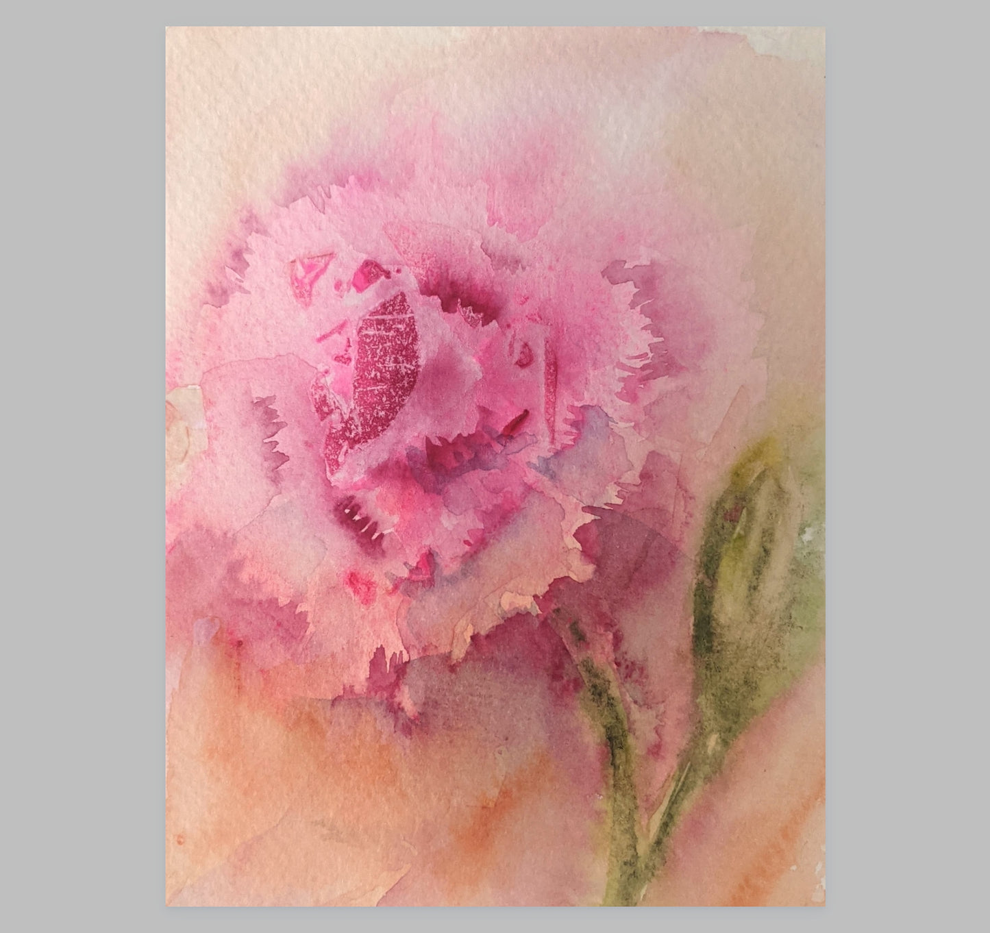 Carnation – Loose Floral Fine Art Print (Watercolor)