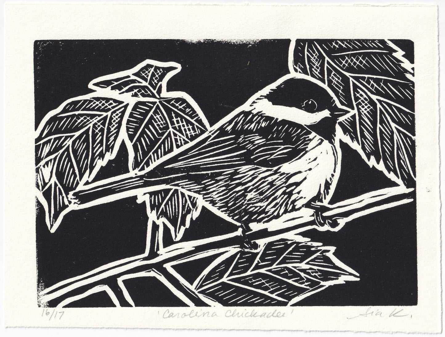 Carolina Chickadee Linocut Print – Limited Edition Hand Pulled Bird Art