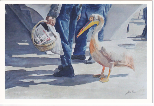 Fish Market Helper, Mykonos (Pelican) Postcard – Fine Art 4x6 Prints