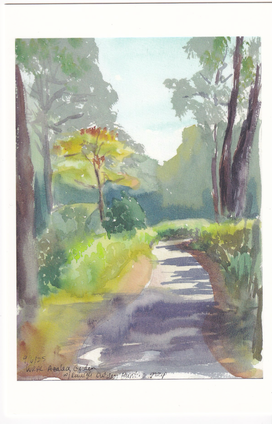 WRAL Azalea Garden Path (Raleigh) – Fine Art 4x6 Prints