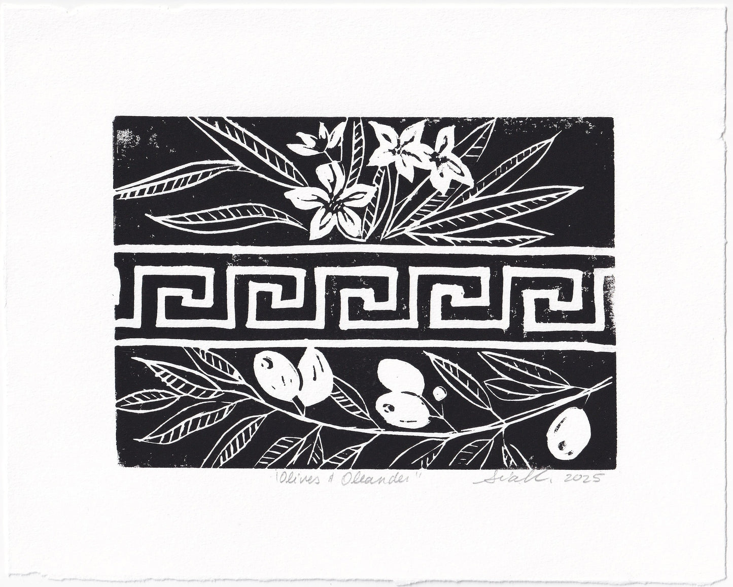 Olives and Oleander Linocut Print – Hand Pulled Greek Botanical Relief Print