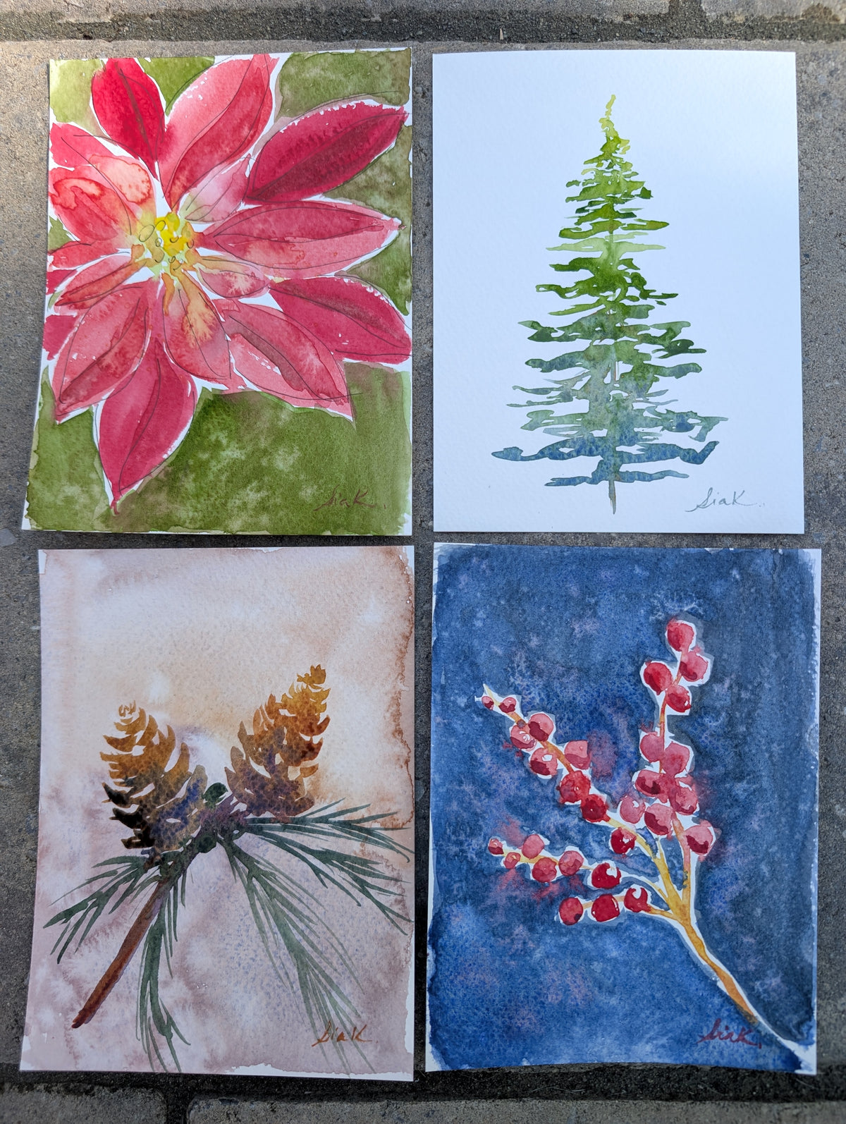Watercolor Winter Botanicals Workshop