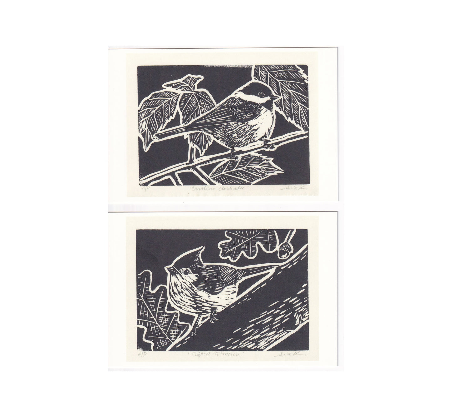 Songbird Linocut Print Postcards – Fine Art 4x6 Prints