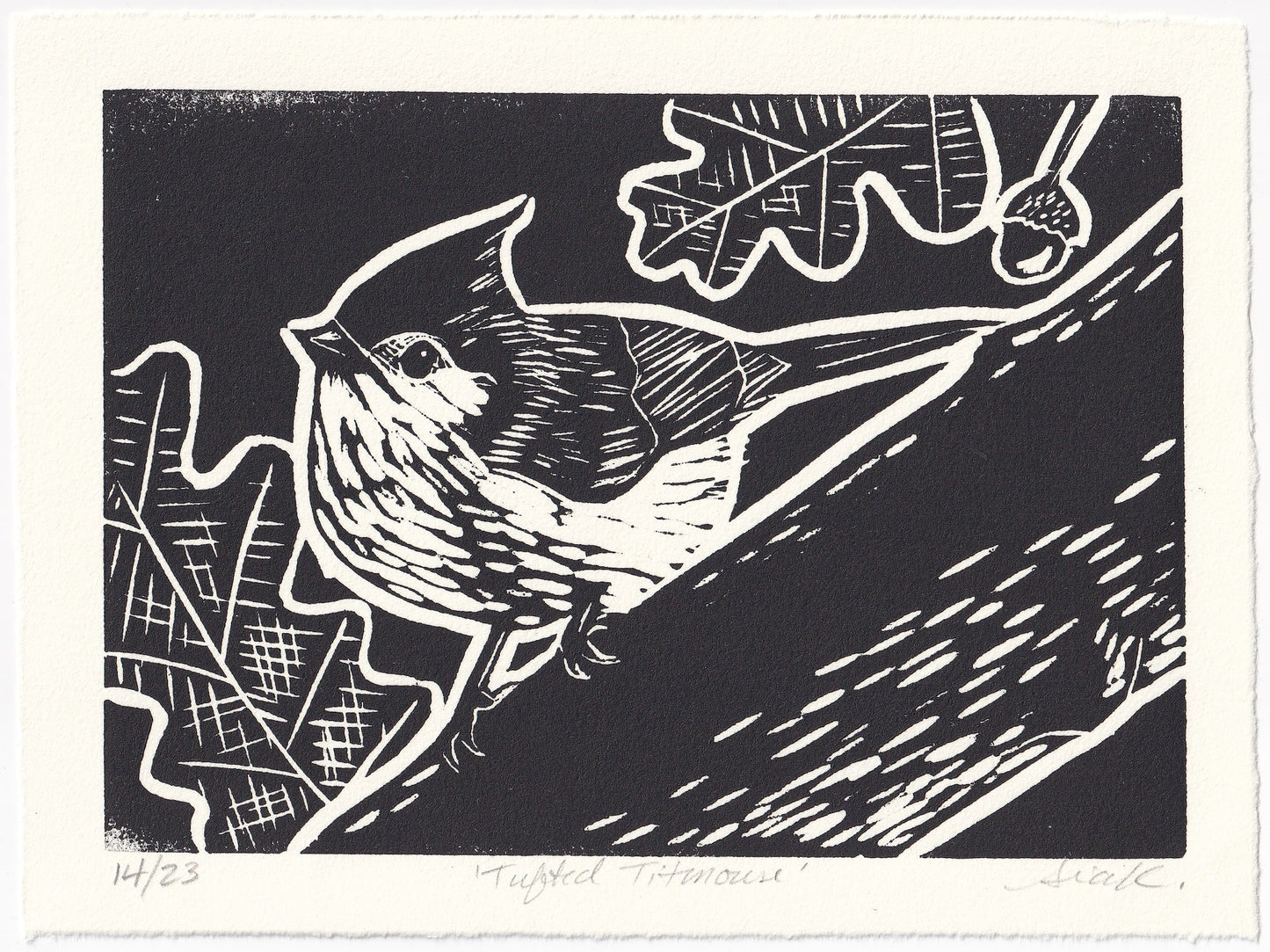 Tufted Titmouse Linocut Print – Limited Edition Hand Pulled Bird Art