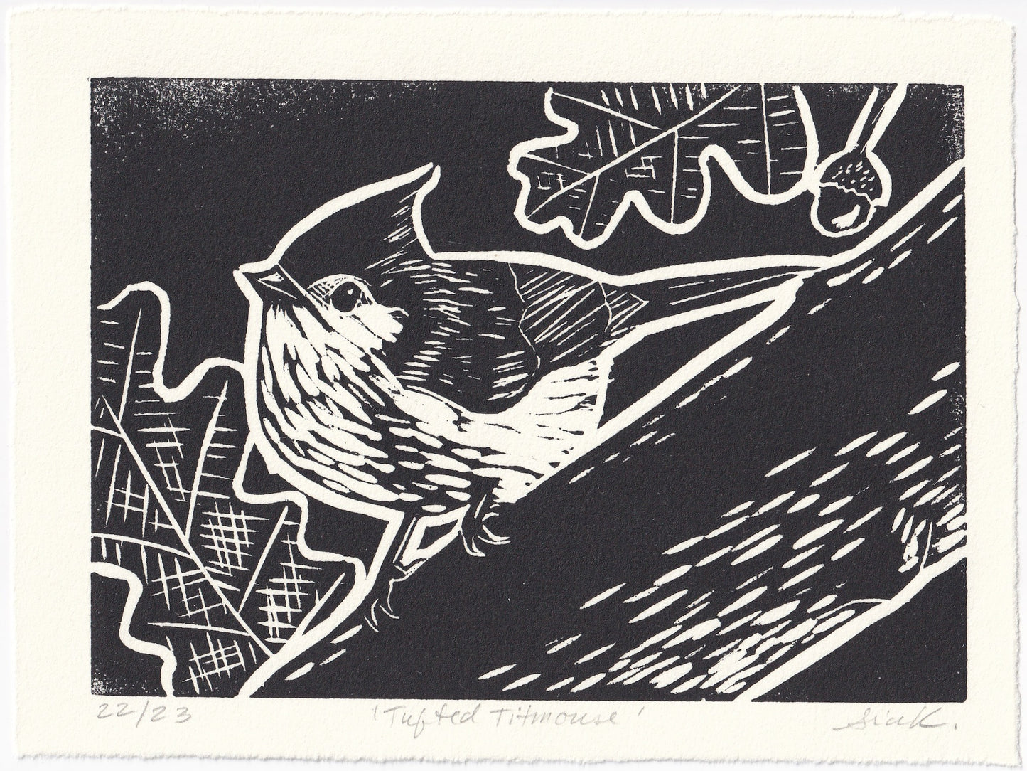 Tufted Titmouse Linocut Print – Limited Edition Hand Pulled Bird Art