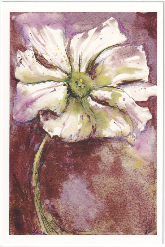 Cosmos (Floral Watercolor) – Fine Art 4x6 Prints