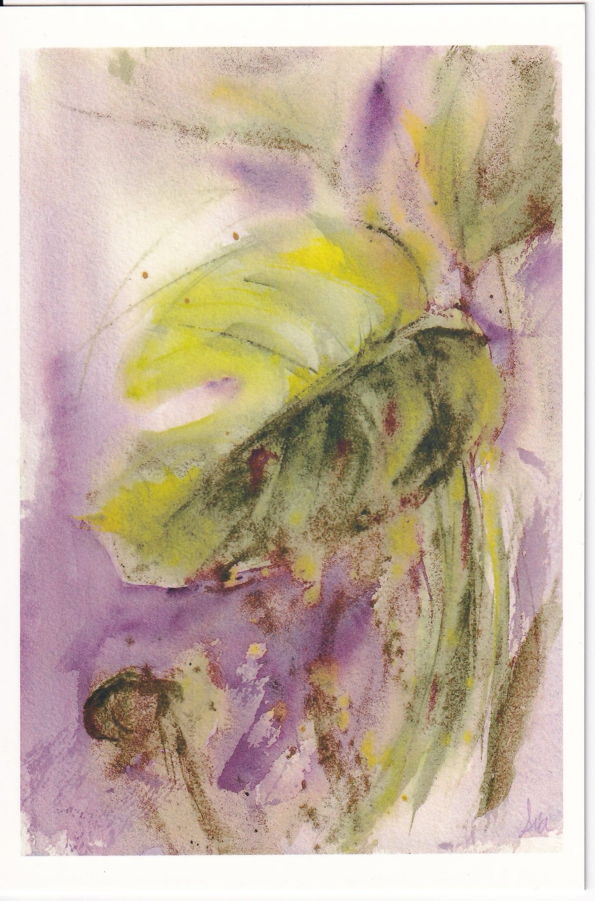 Monstera (Watercolor) – Fine Art 4x6 Prints